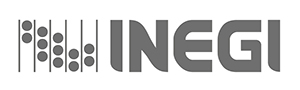 Logotipo INEGI en jpg, horizontal color gris