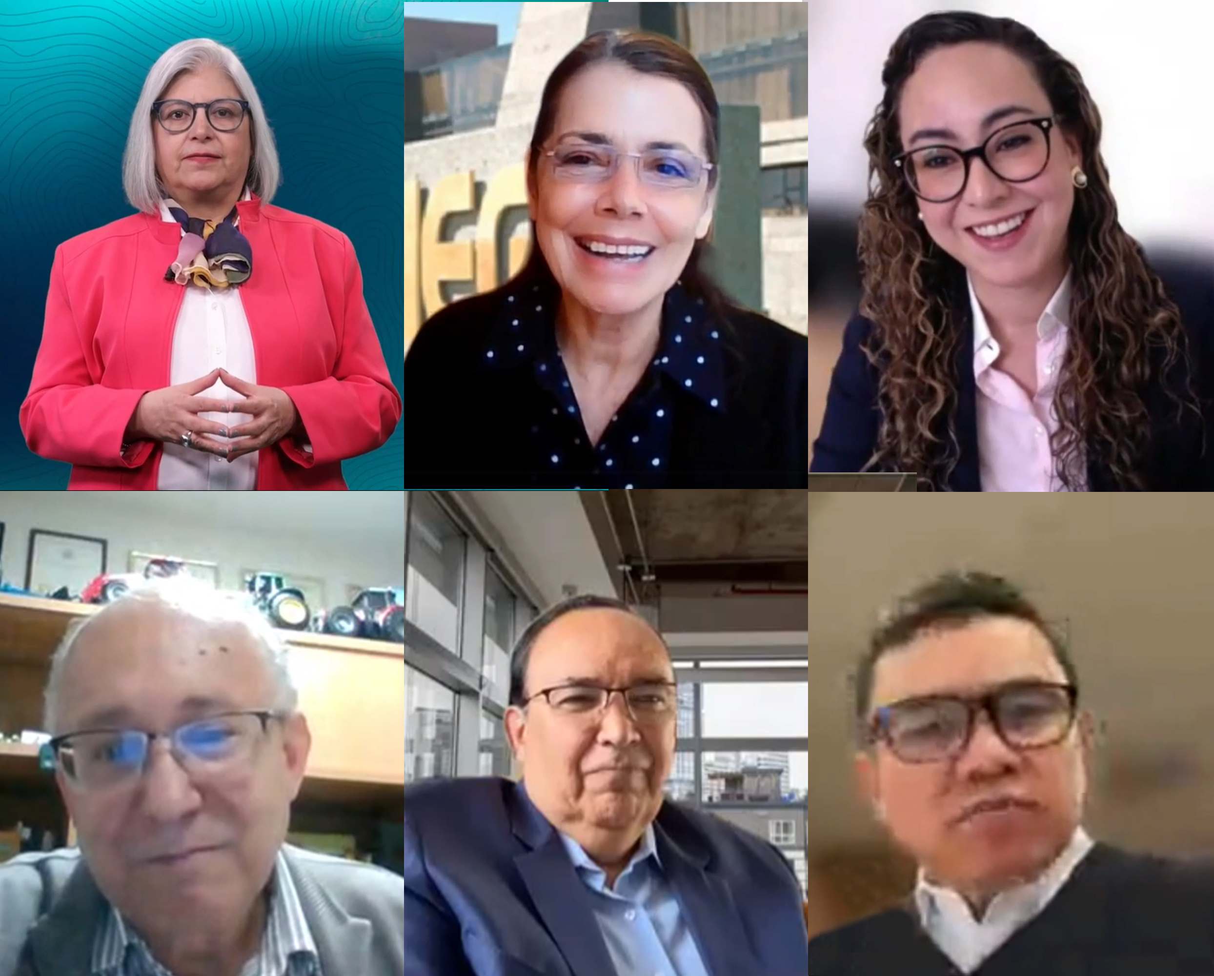 Personas especialistas usuarias de la información.