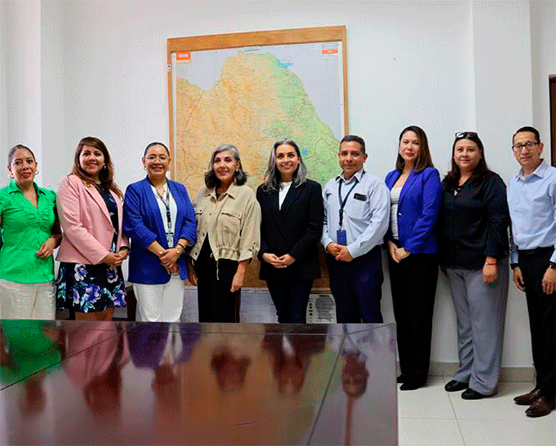 integrantes del Comité.