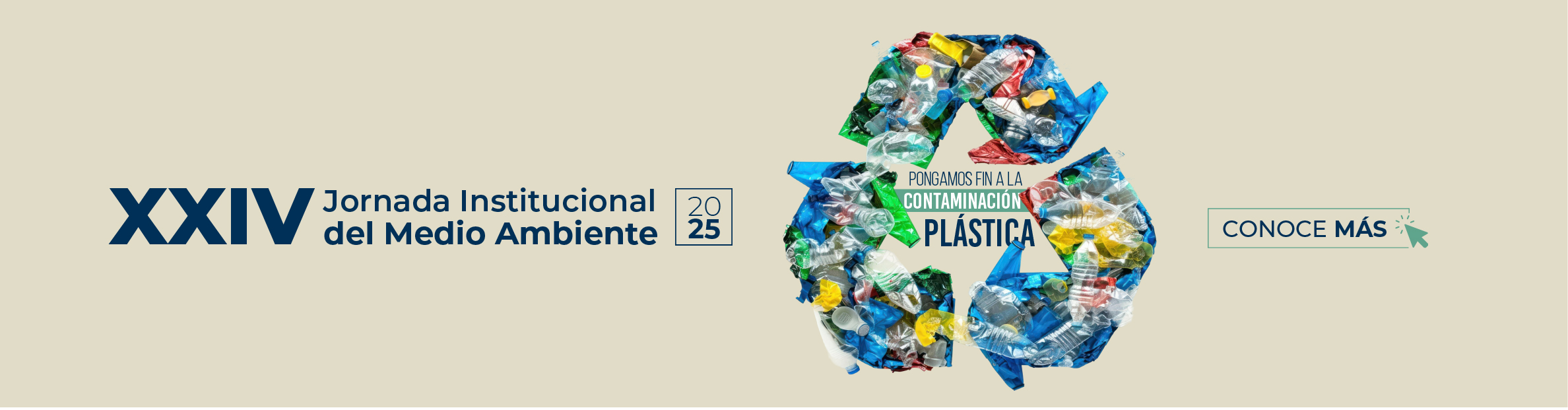 participantes, asistentes. 