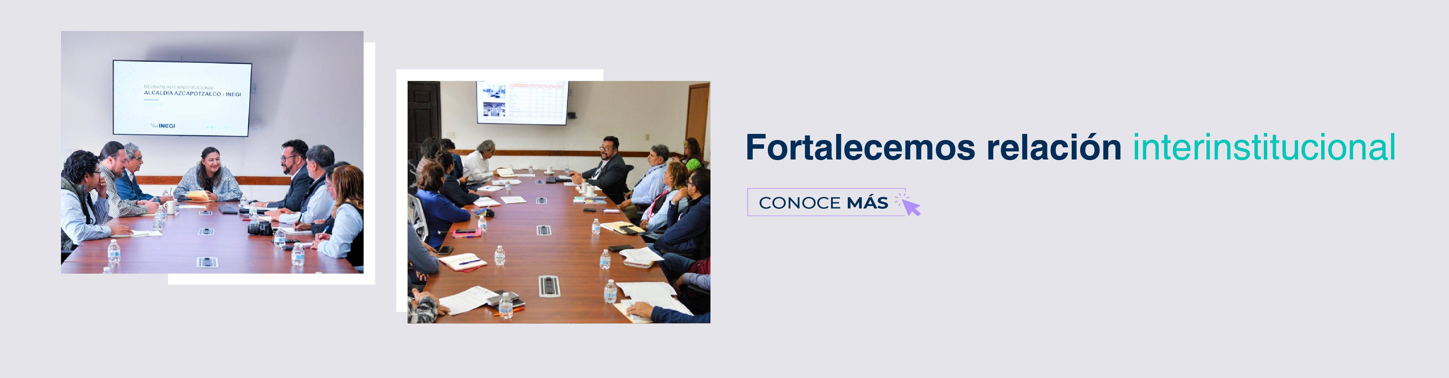 participantes, asistentes.