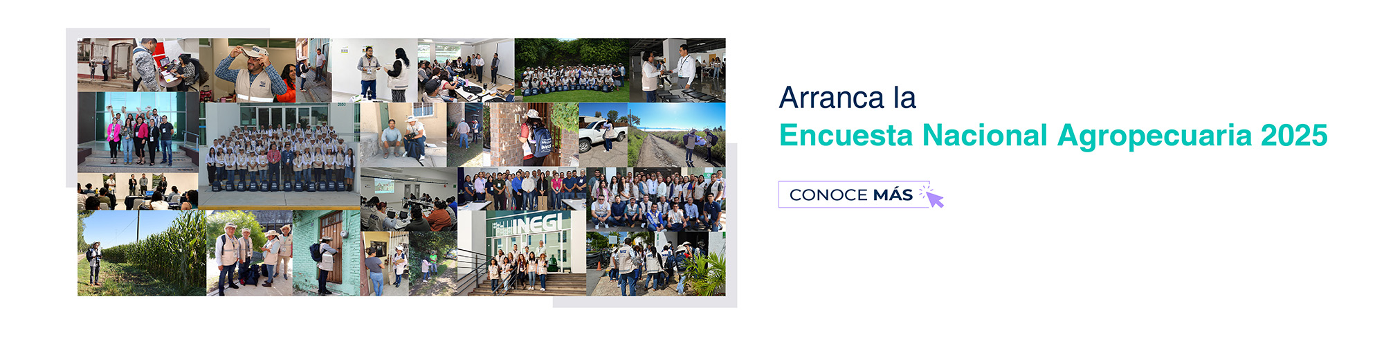 personal de las coordinaciones estatales. 